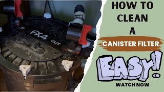 How To Clean A Canister Filter