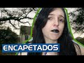 A HISTÓRIA POR TRÁS DE AHS: MY ROANOKE NIGHTMARE | ZDC