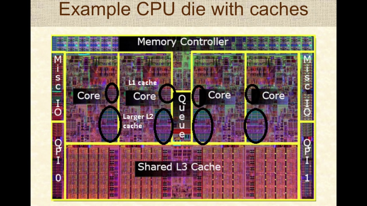 Cpu Processor Cache Explained At Lara Tolmie Blog