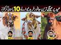 Pakistani Cricketers who Sacrifice Most Expensive Animals on Eid ul Adha 2026