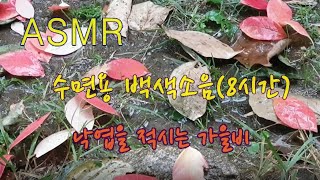 ASMR.  낙엽을 적시는 가을비. 수면용 백색소음(8시간). Sound for Sleeping. Rainy Sound. Relaxing Sound.