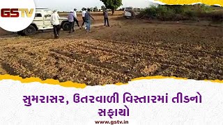 Kutch : સુમરાસર, ઉતરવાડી વિસ્તારમાં તીડનો સફાયો | Gstv Gujarati News