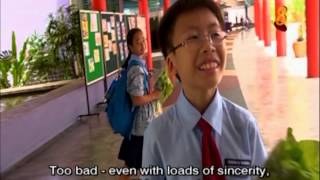 Meridian Primary School: Featured on MediaCorp on 16 July 2013 in the 'In Good Schools' Programme