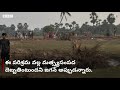 andhra pradesh దివిస్ సంస్థ మాకొద్దు అంటూ స్థానికుల ఆందోళన తీవ్ర ఉద్రిక్తత bbc telugu