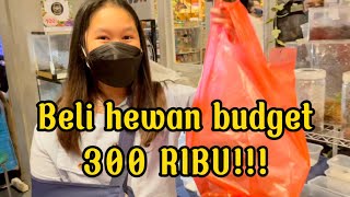 BELI HEWAN BUDGET ANAK SEKOLAH 300 RIBU!!!!! Dapet apa ya?......