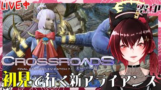 【FF14】7.1新アライアンスをストーリーからやる【テスト配信】