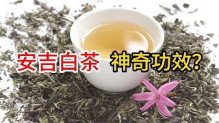 安吉白茶是属于什么茶类？安吉白茶有什么功效？哪些人不适合喝安吉白茶？