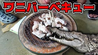 【奇跡の肉】ワニの肉が届いたのでBBQしてみた