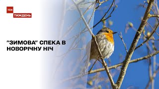 Метеозалежність: Україну чекає найтепліший рік за всю історію