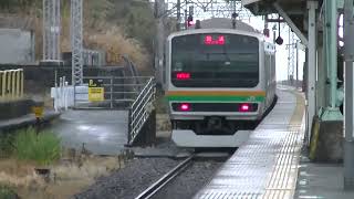 E231系1000番台・E257系2000番台+2500番台 根府川通過