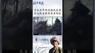 許土匪帶隊洗劫夾皮溝，東北民主聯軍英勇對抗《林海雪原》第1集 | #經典電視劇 #中國電視劇