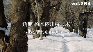 【真冬の風景】角館 桧木内川桜並木～ある晴れた冬の日に～【2025.1.13撮影】