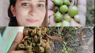 ನನ್ನ ಬೆಳಗಿನ ರೂಟೀನ್ to day my vlog