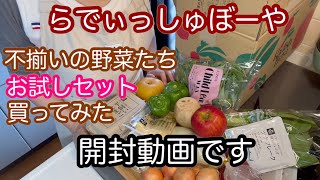 らでぃっしゅぼーやさんのお野菜買いました！宅配サービスもとても良いと感じました！新鮮！美味しい！適量！効率いいですね！