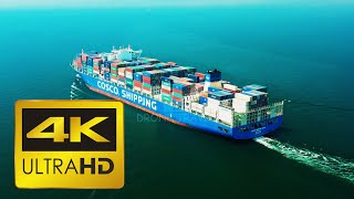 4K UHD - COSCO SHIPPING SEINE Container Ship IMO: 9731949