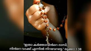 ജപമാലമാസാചരണo  1 || International Syro Malabar Mathruvedhi ||