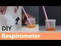 DIY Respirometer | ThinkTac