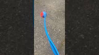 Chuckit! ball launcher for dogs! Honest review! #shorts #dogs#dogtoys