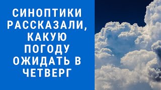 Погода на завтра, погода 12 августа