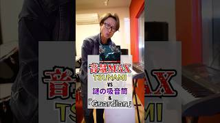 音量MAX「TSUNAMI」vs謎の吸音筒\u0026最強防音ドアガーディアン