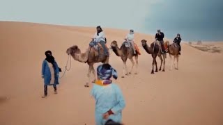 ASMR, Relaxing, camels,deep sleep, meditation, stress relief