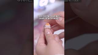 처음으로 저소음 스위치를 써봤는데 진짜 조용함ㄷㄷ 오테뮤 피치(Otemu Peach) 타건영상