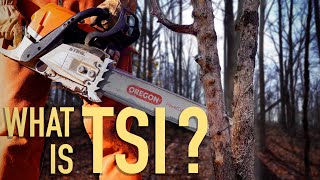 WHAT IS TSI??? Timber Management in an Oak Woodland