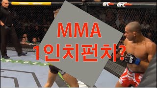 1인치펀치는 MMA!!!!