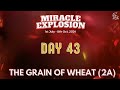 Miracle Explosion Day 43|| The Grain of Wheat 2|| Rev Oluwagbemiga Olowosoyo