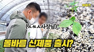 다이어트와 면역효과에 좋은 올바름 '신제품 과자' 출시?!