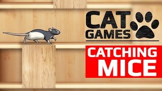 CAT GAMES - 🐭 CATCHING MICE (ENTERTAINMENT VIDEOS FOR CATS TO WATCH)