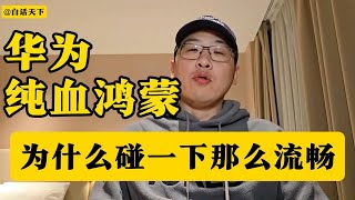 华为纯血鸿蒙为什么碰一下那么流畅【白话天下】#热点话题 #焦点人物 #华为#华为手机