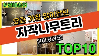 자작나무트리 추천 판매순위 Top10 || 가격 평점 후기 비교