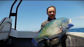 Exploring Mackay's New FADs | Spearing Blackspot Tuskfish | Spearfishing Vlog