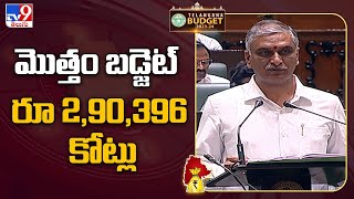 Telangana Budget 2023 : మొత్తం బడ్జెట్ రూ 2,90,396 కోట్లు - TV9