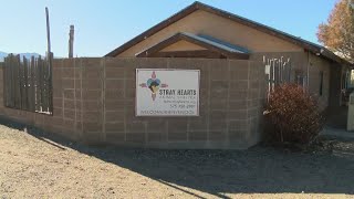 Taos animal shelter enters into municipal contract with town 3 years after severing ties