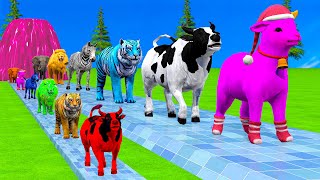 Paint \u0026 Animals Cow,Monkey,Zebra,Sheep,Bear,Elephant Fountain Crossing Transformation Animal Cartoon