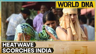 North India Heatwave: IMD predicts high number of heatwaves, national capital records 48°C | WION