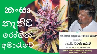 කංසා නැතිව රෝගින් අමාරැවේ - Cannabis prohibition kills patients