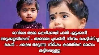 ഒരേയൊരു മകൾ എന്നാൽ അമ്മയുടെ മുന്നിൽ വെച്ചു തന്നെ ഈ കുഞ്ഞുവാവക്ക് സംഭവിച്ചത്