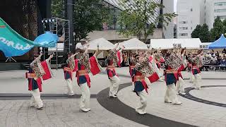 tanashiソーラン会　「繋〜つなぐ〜」2023池袋東京よさこい　西口公園会場