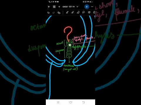 Which part of the plant does the embryo develop?