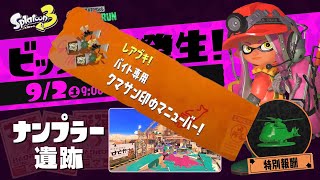 第4回ビッグラン！ナンプラー遺跡で大暴れ！！【スプラトゥーン3】