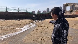 【赶海二哥】今天赶海真是要发财了，水里一窝窝的海鲜不用找，直接捡很过瘾