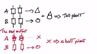 The complementation test
