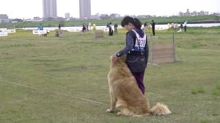 2017.4.22JKC春季本部訓練競技会　ラシ