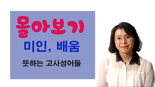 몰아보기- 미인, 배움의 의미를 가진 고사성어들