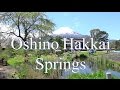 Oshino Hakkai　忍野八海