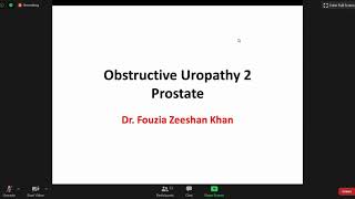 Obstructive Uropathy 2 | Pathology