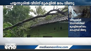 കണ്ണൂരിൽ വ്യാപക മഴ; പയ്യന്നൂരിൽ വീടിന് മുകളിലേക്ക് മരം വീണു | rain  | kannur